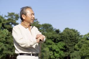 屋形船体験の魅力と選び方｜記憶に残る特別なレジャーを楽しむための完全ガイド