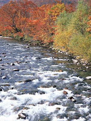 ビジネス出張から観光まで幅広く対応！東横INN名古屋駅桜通口本館の魅力と詳細情報