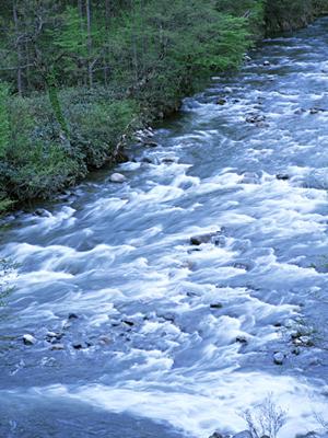 金沢で利用できる学生向けの体験学習