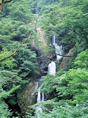 最新情報を素早く入手できるPREGO所沢店のサイト