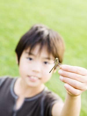 長野県松本市のビジネスホテル「東横INN松本駅前本町」の詳しい情報と魅力