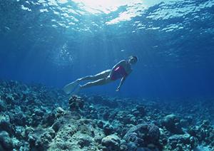 【東京・新宿】国内最大規模のアミューズメントカジノ「カジスタ東京」！本場の体験と豊富なゲームを満喫