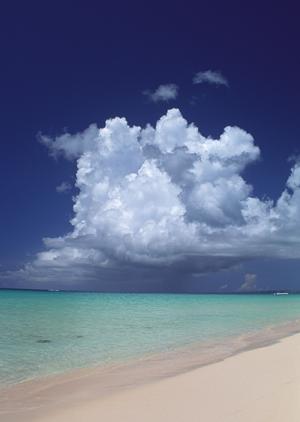 貸切バスの一括見積もり比較サービス