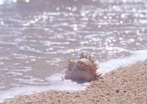 神奈川県厚木市にある東横INN本厚木駅南口：快適な滞在と便利なアクセスを提供するビジネスホテル