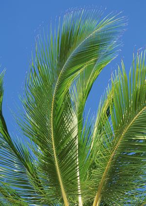 千葉の人気温泉