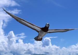 越後湯沢のおすすめ日帰り温泉を知ろう