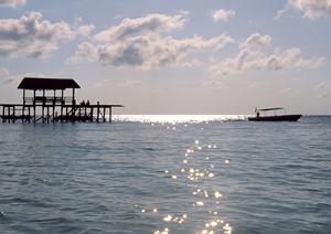 JDMとタックルの最新トレンド徹底解説！釣果向上に役立つおすすめルアーと選び方