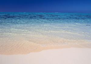 山口県岩国市に位置する東横INN岩国駅西口の魅力とホテル情報の詳細