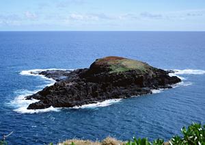 奈良観光に最適！東横INN近鉄奈良駅前の魅力と利用ガイド