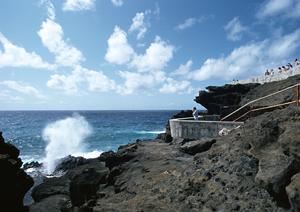 白馬のホテルならぜひこちらをどうぞ