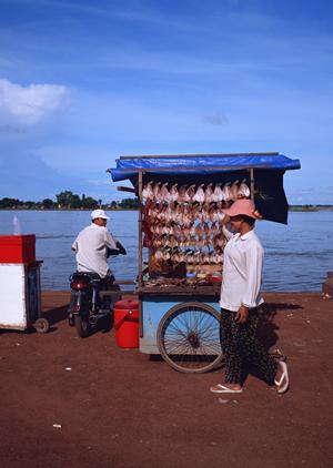 東横イン京王線東府中駅北口の魅力と特徴を徹底解説：便利な立地と快適な滞在を実現するビジネスホテル