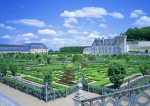 大阪でバーベキューを楽しむなら