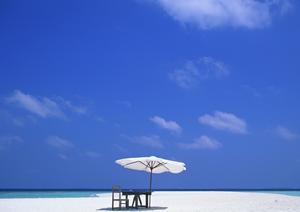 小田原駅から徒歩3分！快適＆便利な東横INN小田原駅東口の魅力と詳細情報