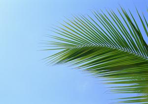 群馬県桐生市のビジネスホテル：東横INN桐生駅南口の詳細ガイド