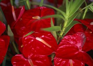 愛知県豊橋市のビジネスホテル【東横INN豊橋駅東口】の魅力と詳しい施設情報