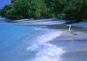神戸三宮駅東のビジネスホテル「東横INN神戸三宮駅東」｜快適な滞在と便利なアクセスの特徴