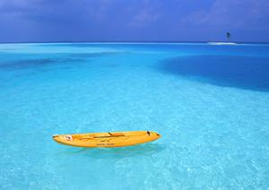 静岡市中心部に位置する中島屋グランドホテル：高品質な宿泊と多彩なレストランを楽しめるシティホテル