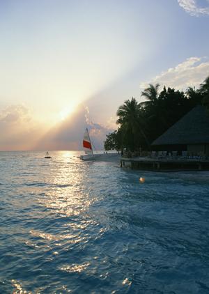 【公式情報を基に解説】東横INN蒲田東口の魅力と特徴｜ビジネスや観光に最適な快適宿泊体験