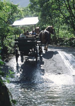 北朝霞駅西口すぐのビジネスホテル｜東横INN北朝霞駅西口の魅力と詳細情報
