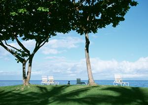 福岡県久留米市に位置するビジネスホテルの魅力とおすすめポイント：東横INN西鉄久留米駅東口の詳細情報