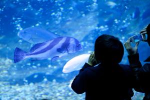 東京都品川区にある東横INN品川大井町：快適なビジネスと観光拠点を提供するホテルの全貌